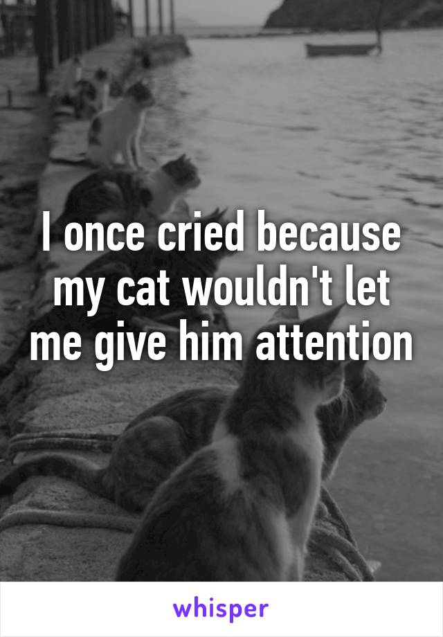 I once cried because my cat wouldn't let me give him attention 