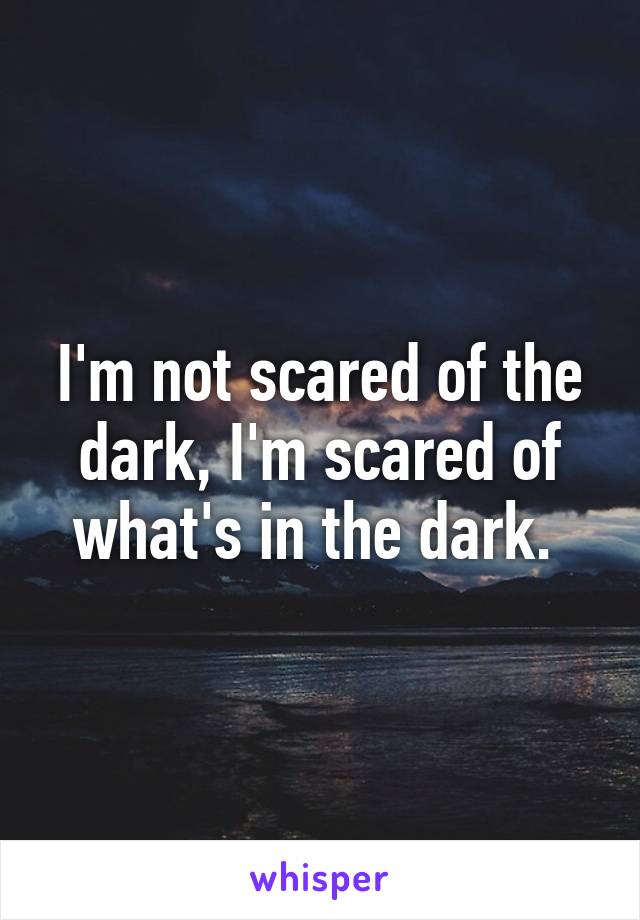 I'm not scared of the dark, I'm scared of what's in the dark. 