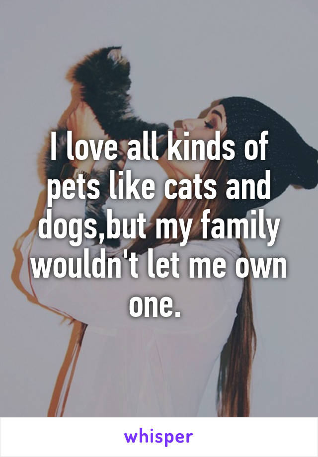 I love all kinds of pets like cats and dogs,but my family wouldn't let me own one. 