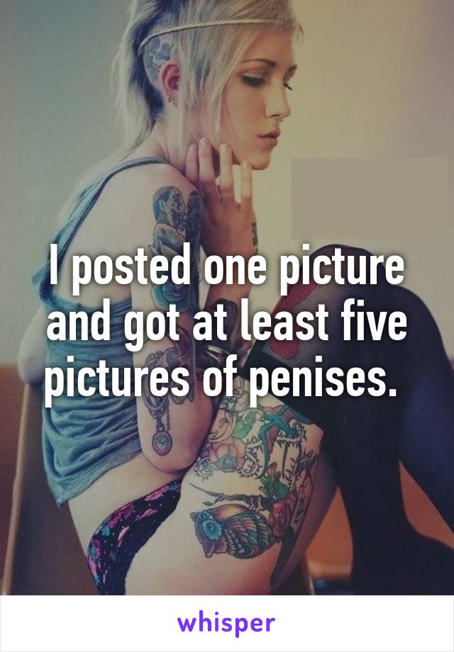 I posted one picture and got at least five pictures of penises. 
