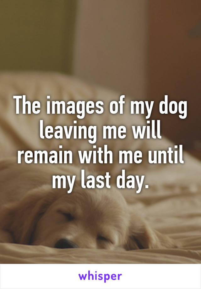 The images of my dog leaving me will remain with me until my last day.