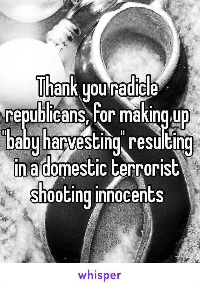 Thank you radicle republicans, for making up "baby harvesting" resulting in a domestic terrorist shooting innocents