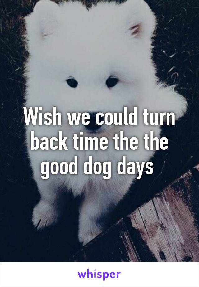 Wish we could turn back time the the good dog days 