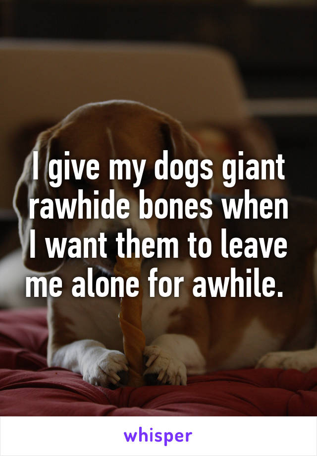 I give my dogs giant rawhide bones when I want them to leave me alone for awhile. 