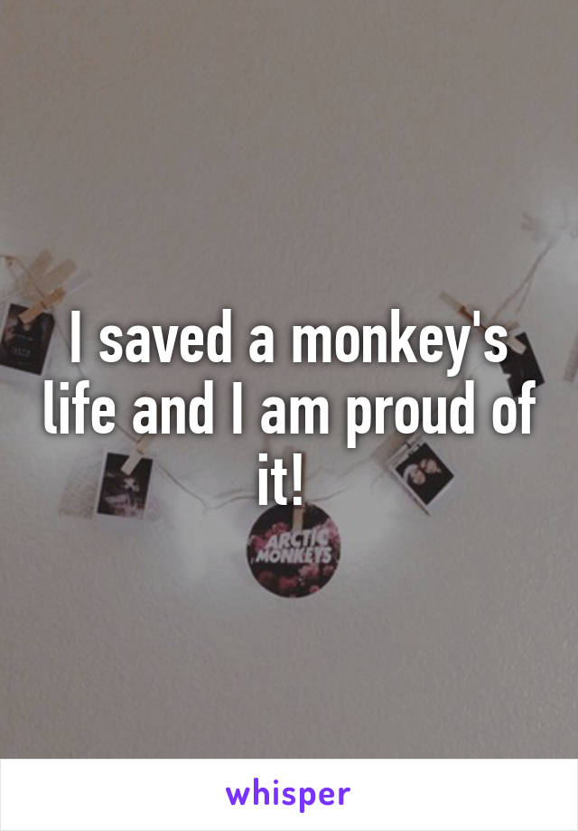 I saved a monkey's life and I am proud of it! 