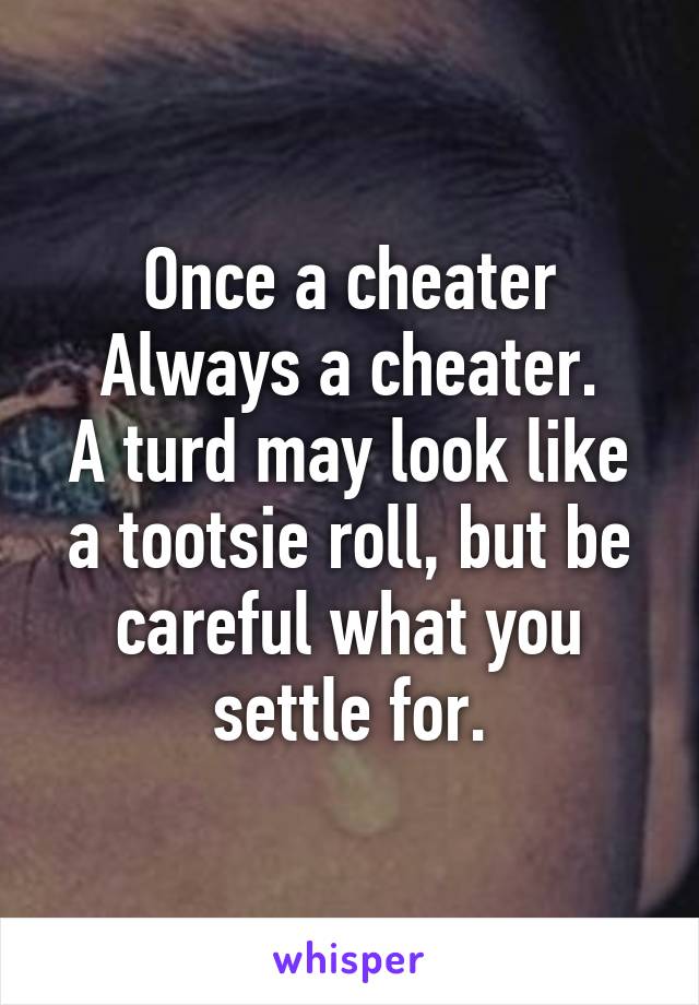 Once a cheater
Always a cheater.
A turd may look like a tootsie roll, but be careful what you settle for.