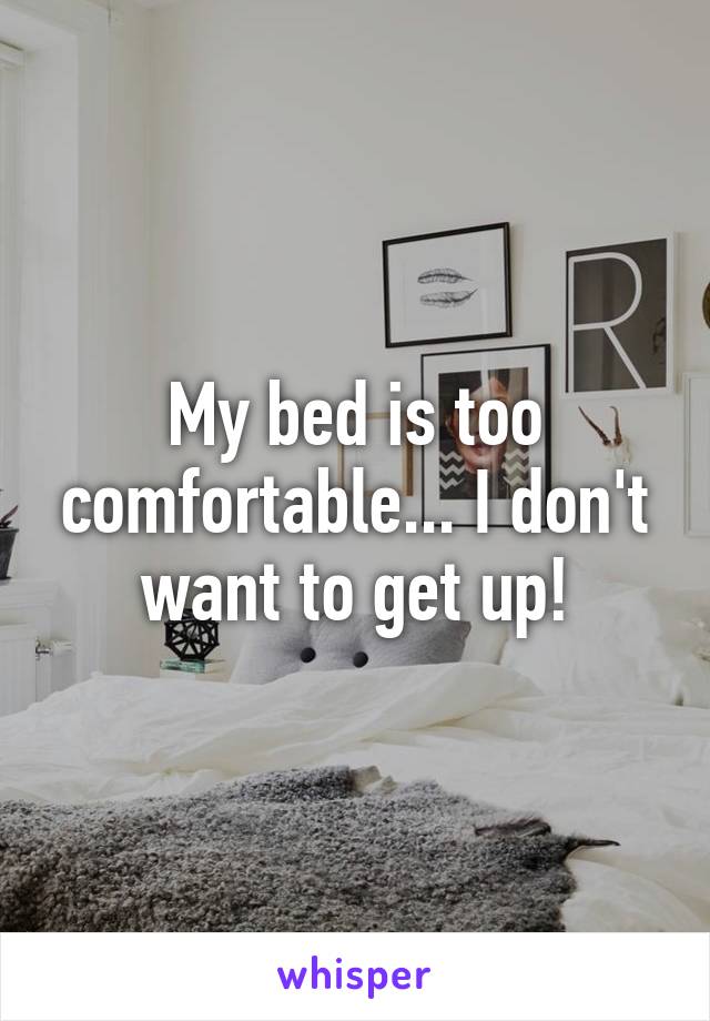 My bed is too comfortable... I don't want to get up!