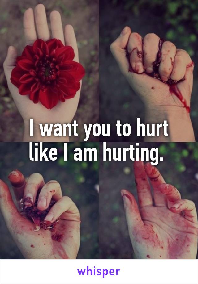 I want you to hurt like I am hurting. 