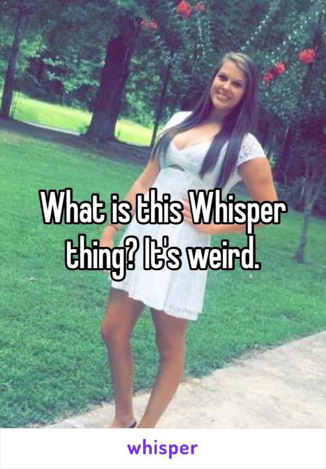 What is this Whisper thing? It's weird.