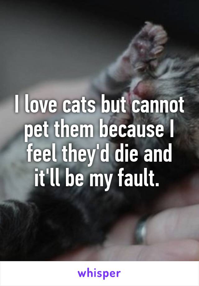 I love cats but cannot pet them because I feel they'd die and it'll be my fault. 