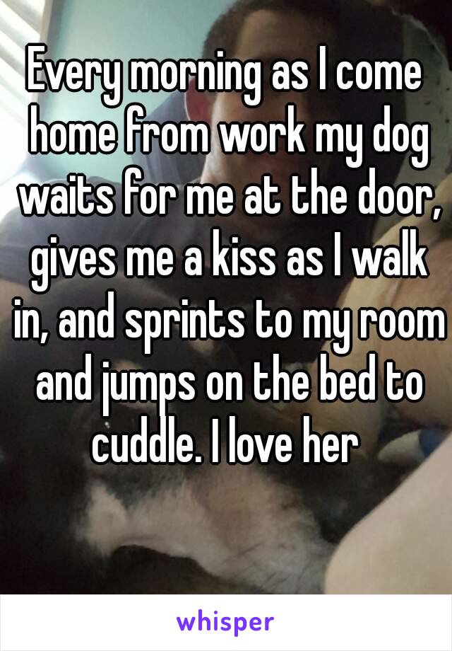 Every morning as I come home from work my dog waits for me at the door, gives me a kiss as I walk in, and sprints to my room and jumps on the bed to cuddle. I love her 