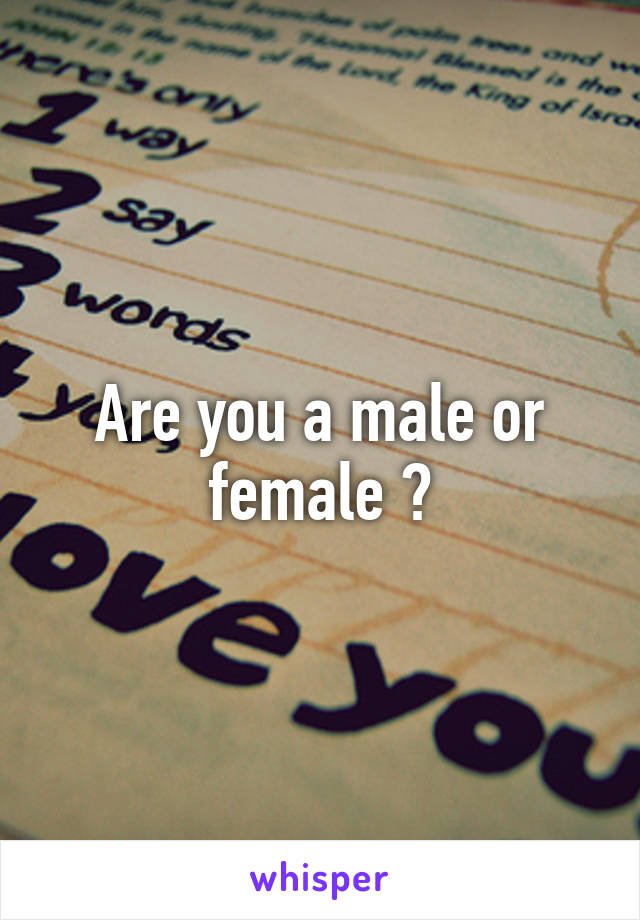 Are you a male or female ?