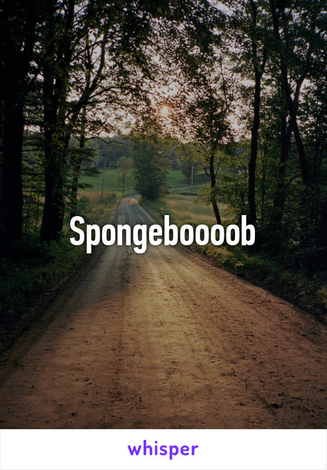 Spongeboooob