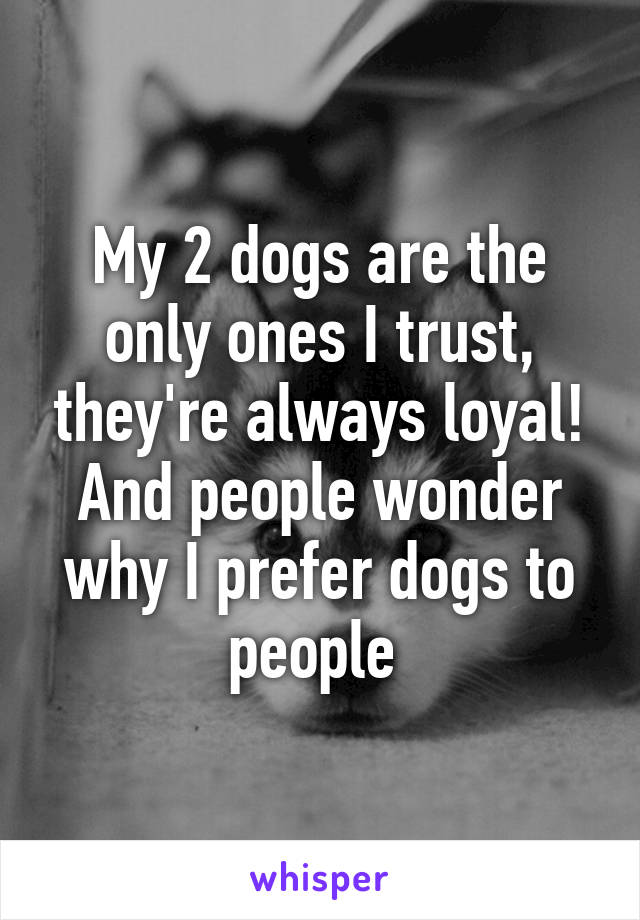 My 2 dogs are the only ones I trust, they're always loyal! And people wonder why I prefer dogs to people 
