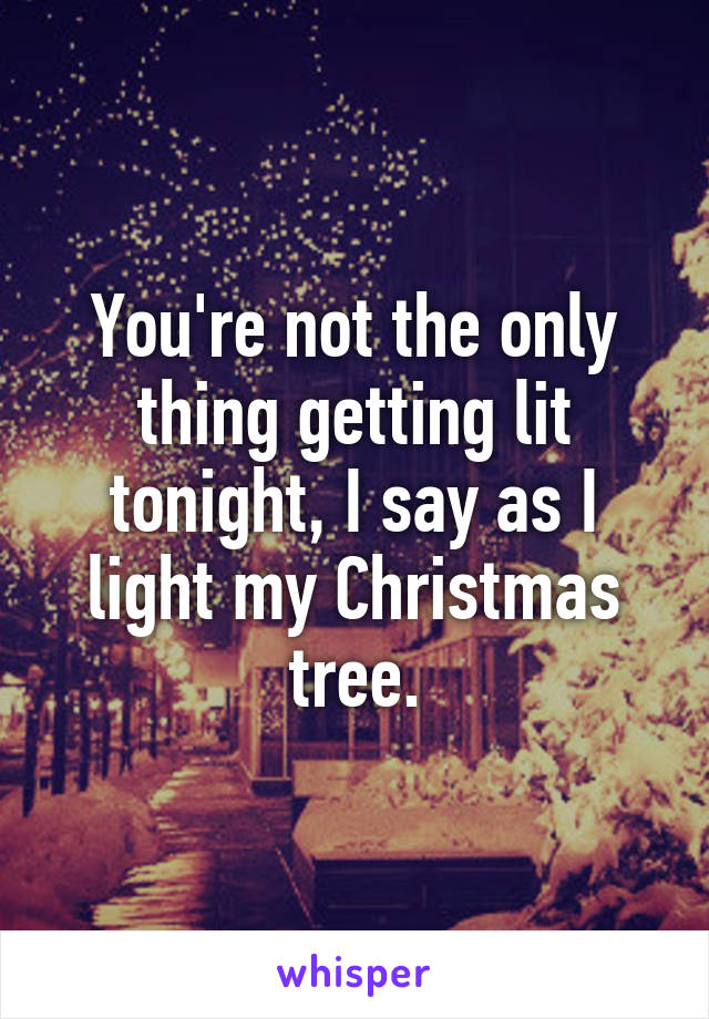 You're not the only thing getting lit tonight, I say as I light my Christmas tree.