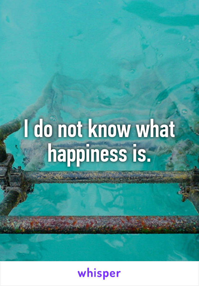 I do not know what happiness is.