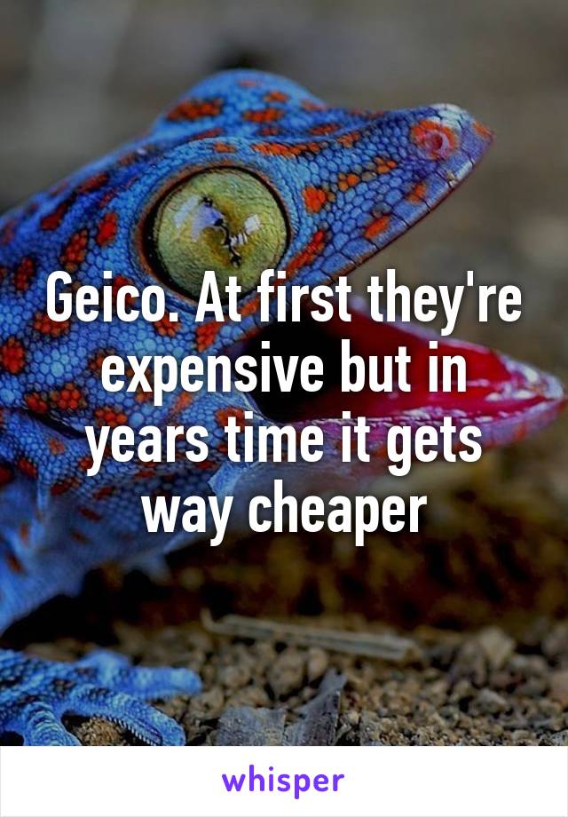 Geico. At first they're expensive but in years time it gets way cheaper