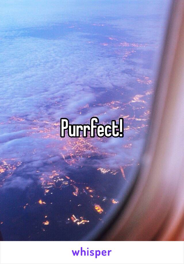 Purrfect!