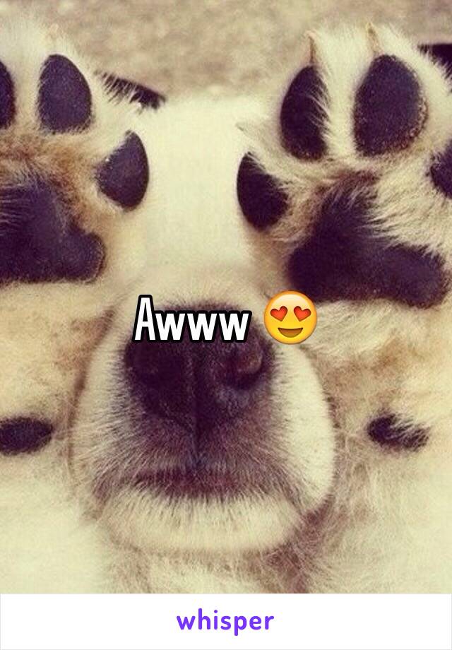 Awww 😍