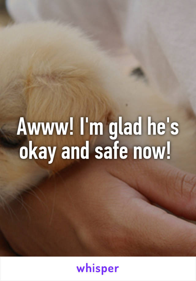 Awww! I'm glad he's okay and safe now! 