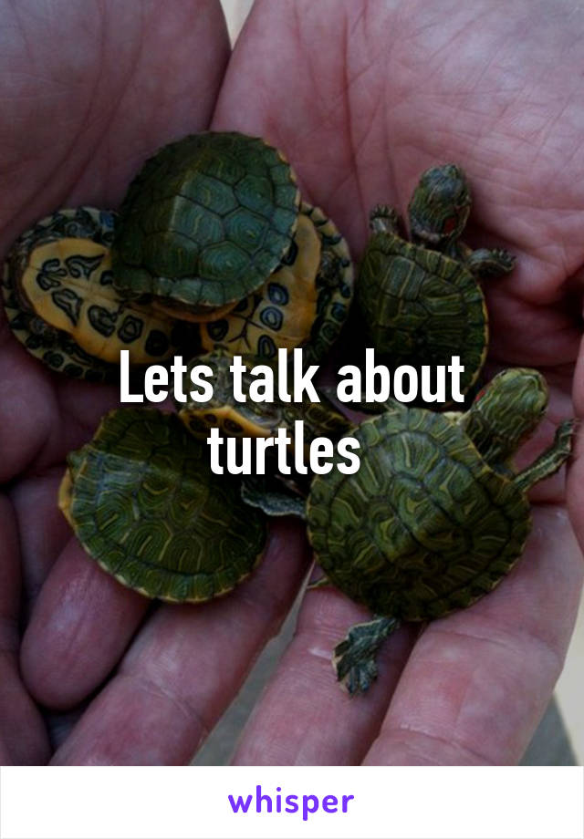 Lets talk about turtles 
