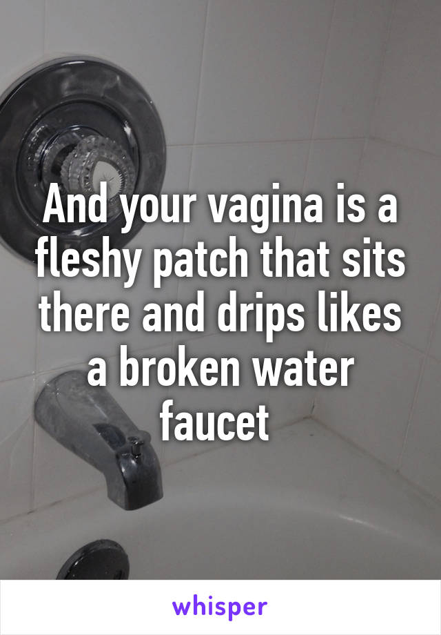 And your vagina is a fleshy patch that sits there and drips likes a broken water faucet 