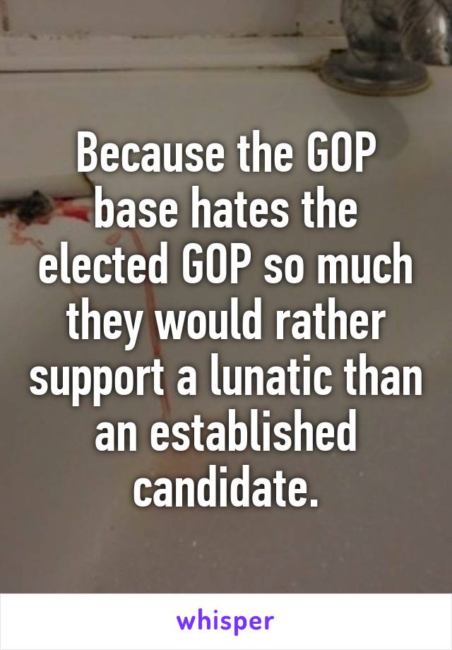 Because the GOP base hates the elected GOP so much they would rather support a lunatic than an established candidate.