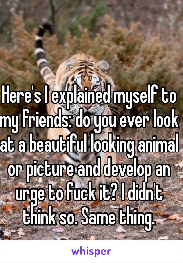 Here's I explained myself to my friends: do you ever look at a beautiful looking animal or picture and develop an urge to fuck it? I didn't think so. Same thing.