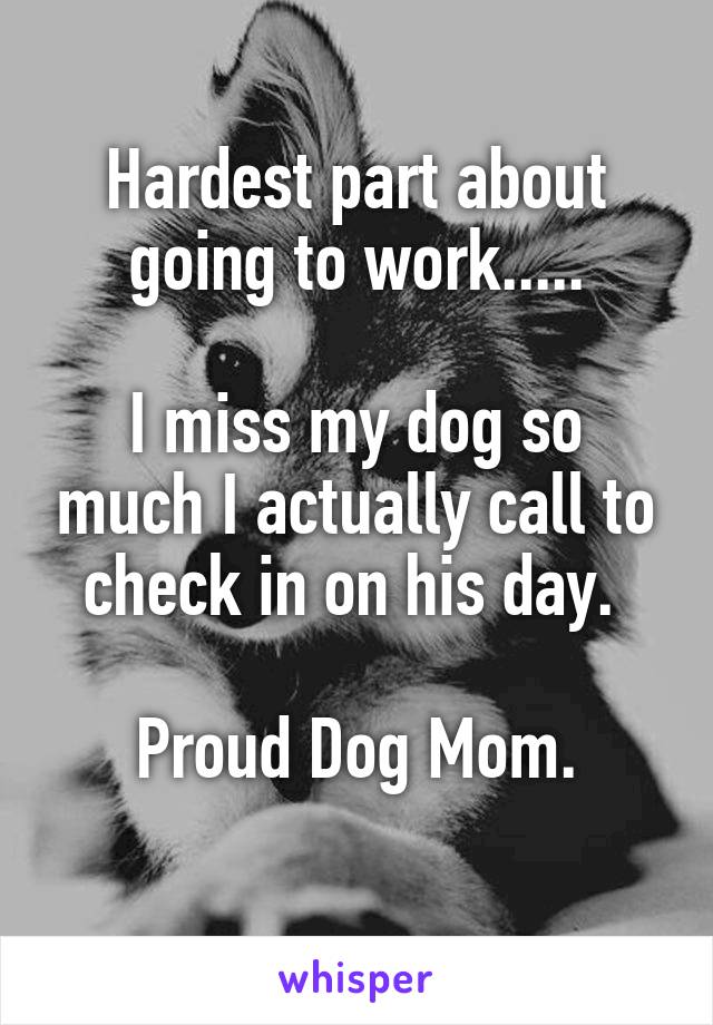 Hardest part about going to work.....

I miss my dog so much I actually call to check in on his day. 

Proud Dog Mom.
