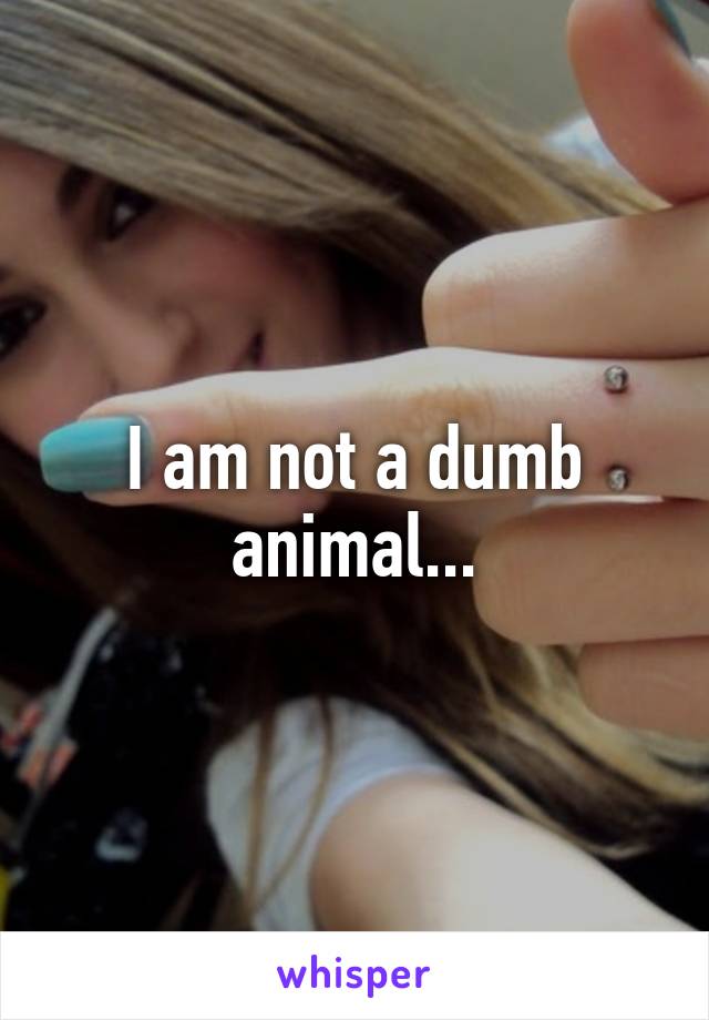 I am not a dumb animal...