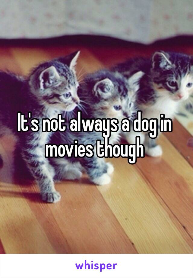 It's not always a dog in movies though 