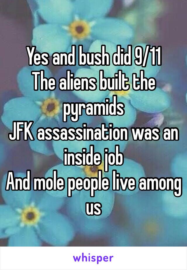Yes and bush did 9/11
The aliens built the pyramids 
JFK assassination was an inside job
And mole people live among us