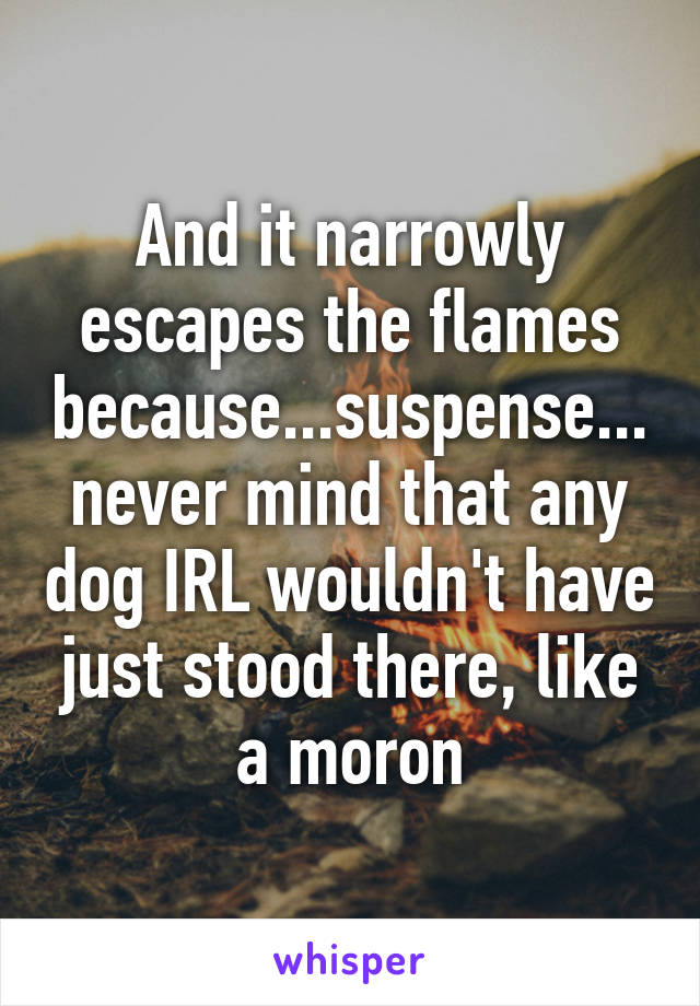 And it narrowly escapes the flames because...suspense...never mind that any dog IRL wouldn't have just stood there, like a moron