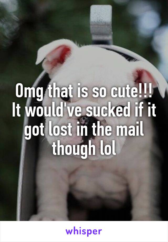 Omg that is so cute!!! It would've sucked if it got lost in the mail though lol