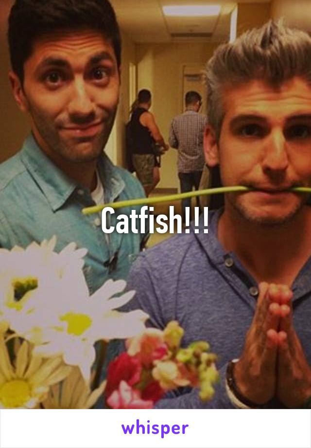 Catfish!!!