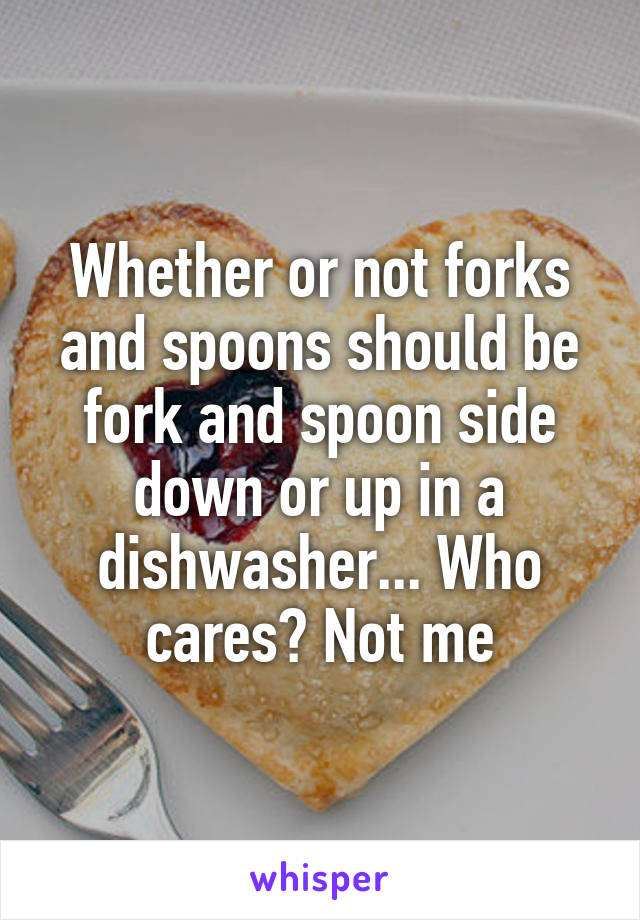 Whether or not forks and spoons should be fork and spoon side down or up in a dishwasher... Who cares? Not me