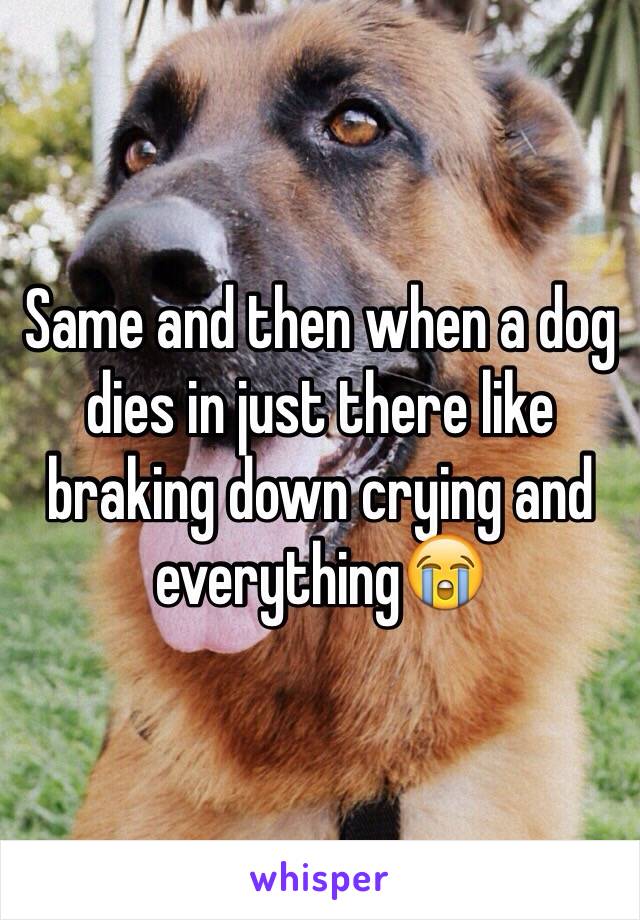 Same and then when a dog dies in just there like braking down crying and everything😭