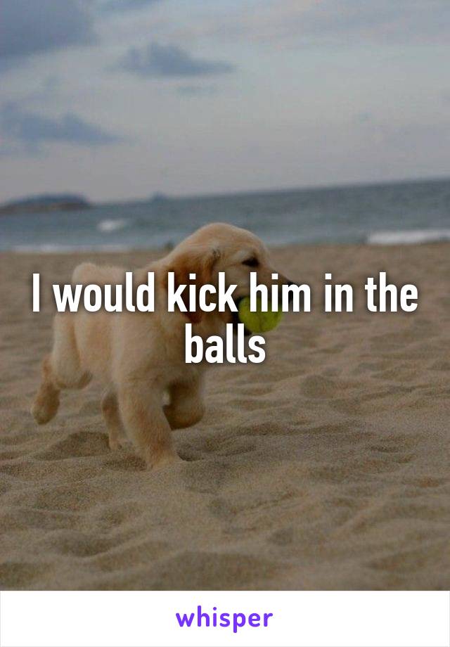 I would kick him in the balls