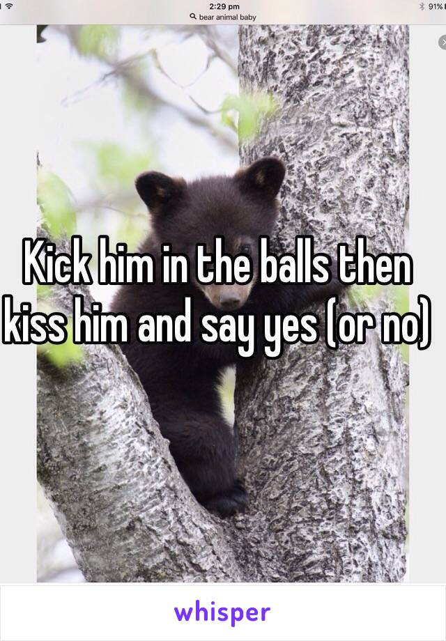 Kick him in the balls then kiss him and say yes (or no)