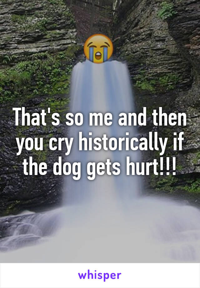 That's so me and then you cry historically if the dog gets hurt!!!