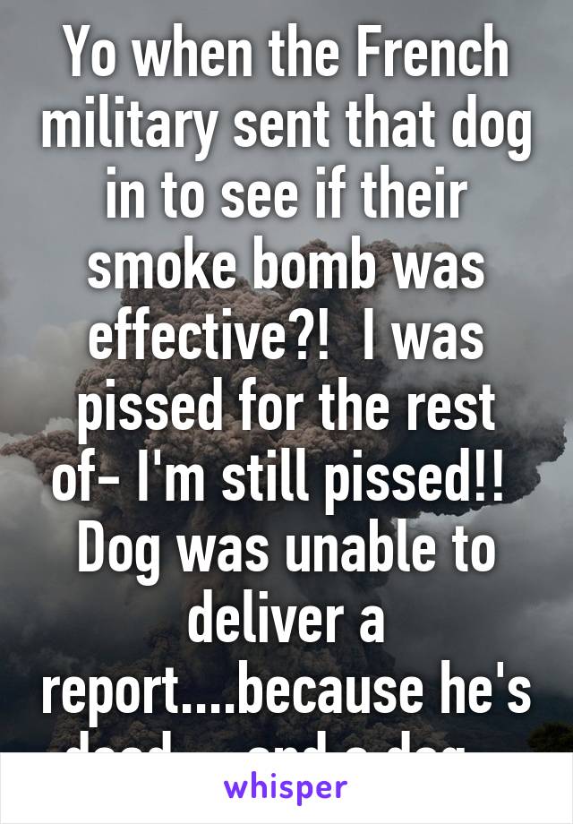 Yo when the French military sent that dog in to see if their smoke bomb was effective?!  I was pissed for the rest of- I'm still pissed!!  Dog was unable to deliver a report....because he's dead.....and a dog.  