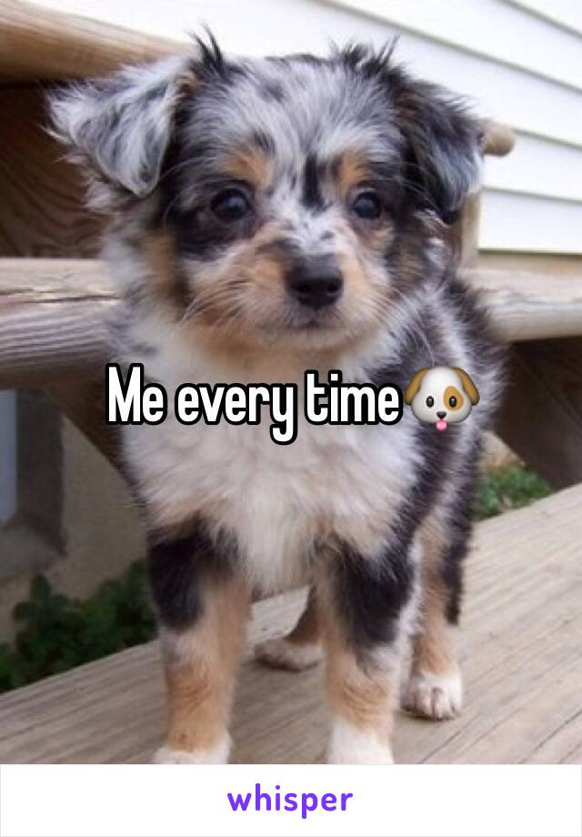 Me every time🐶