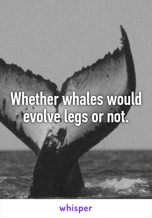 Whether whales would evolve legs or not.