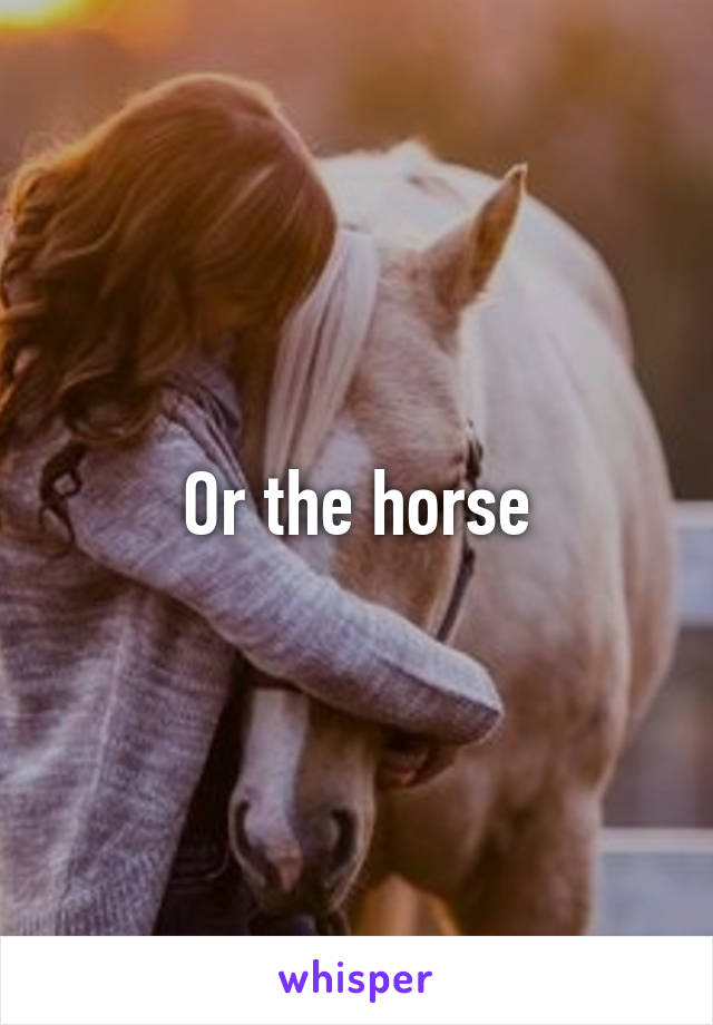 Or the horse