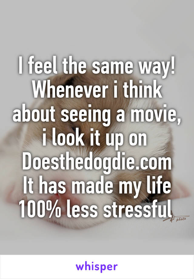 I feel the same way!
Whenever i think about seeing a movie, i look it up on 
Doesthedogdie.com
It has made my life 100% less stressful 