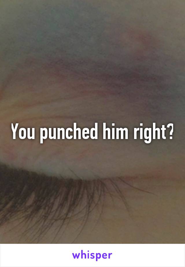 You punched him right?