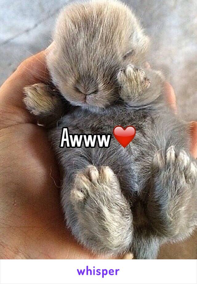 Awww❤️