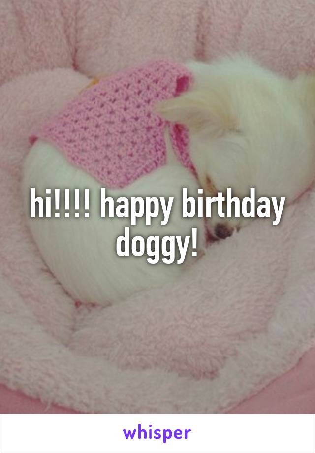 hi!!!! happy birthday doggy!