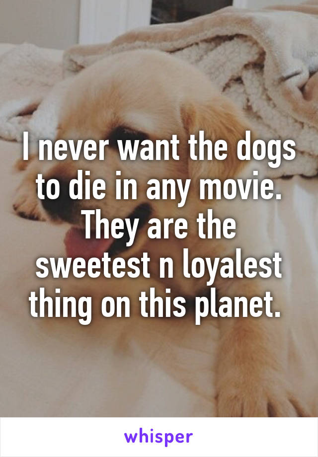 I never want the dogs to die in any movie. They are the sweetest n loyalest thing on this planet. 