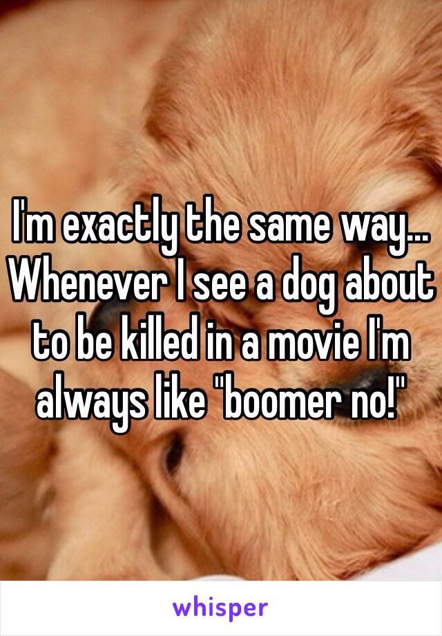 I'm exactly the same way… Whenever I see a dog about to be killed in a movie I'm always like "boomer no!"